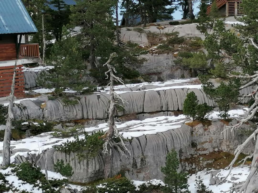 Studio Montagne A La Pierre St Martin Arette Kültér fotó